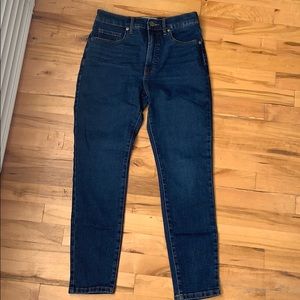 Everlane Authentic Stretch High-Rise Skinny